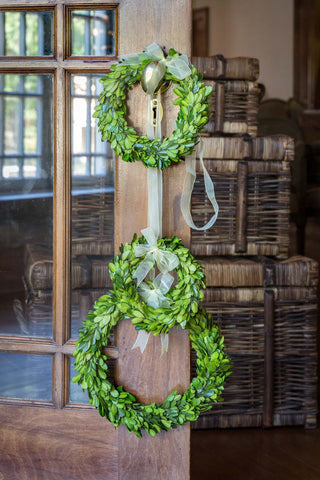 Preserved Boxwood Wreaths with Ivory Ribbon, Set of 3 - Wreaths Measure: 6", 7" and 10"