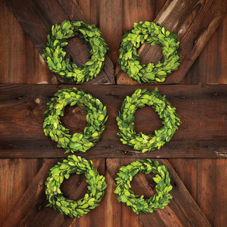 Mini Preserved Boxwood Wreaths, Set of 6 - 6"L x 1.25"W x 6"H