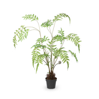 Forest Fern Plant in Growers Pot, 35.5"H - Polyester, plastic and wire