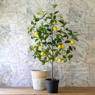 Lemon Tree in Plastic Pot, 48"H - Polyester, plastic and Styrofoam