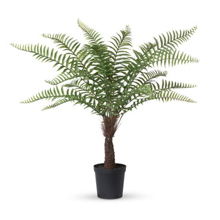 Giant Fern Tree in Growers Pot, 44 in. - Plastic and wire