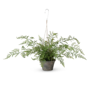 Potted Hanging Fern, Large, 30"H - Plastic, pottery, hemp and wire