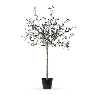 Potted Olive Topiary, 52"H - Polyester, Plastic, Wire and Clay
