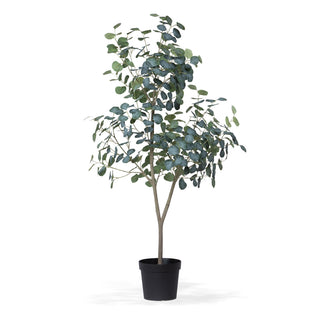 Polyester, Plastic and Wire Eucalyptus Tree in Grower's Pot, 60"
