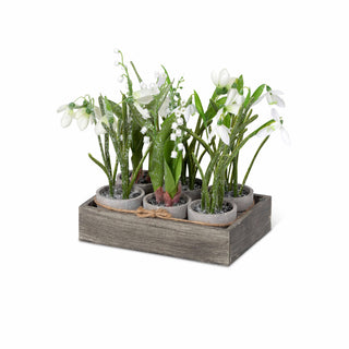 Snowdrop and Lily of the Valley Planting Flat - Plastic, Wire and Fir Wood