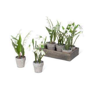 Snowdrop and Lily of the Valley Planting Flat - Plastic, Wire and Fir Wood