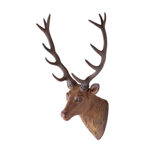Mounted Red Deer Head, 22.5"L x 20.5"W x 33"H