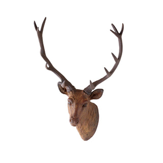 Mounted Red Deer Head, 22.5"L x 20.5"W x 33"H